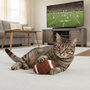 Cat playing with a football toy in a living room with a TV showing a football game.