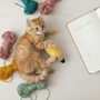 Kitten playing with a pencil shaped catnip filled toy on a light surface with yarn balls and a notebook