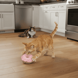 Two cats playing with a pink donut-shaped toy on a wooden floor in a kitchen.