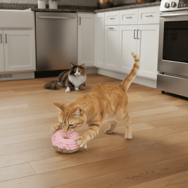 Two cats playing with a pink donut-shaped toy on a wooden floor in a kitchen.